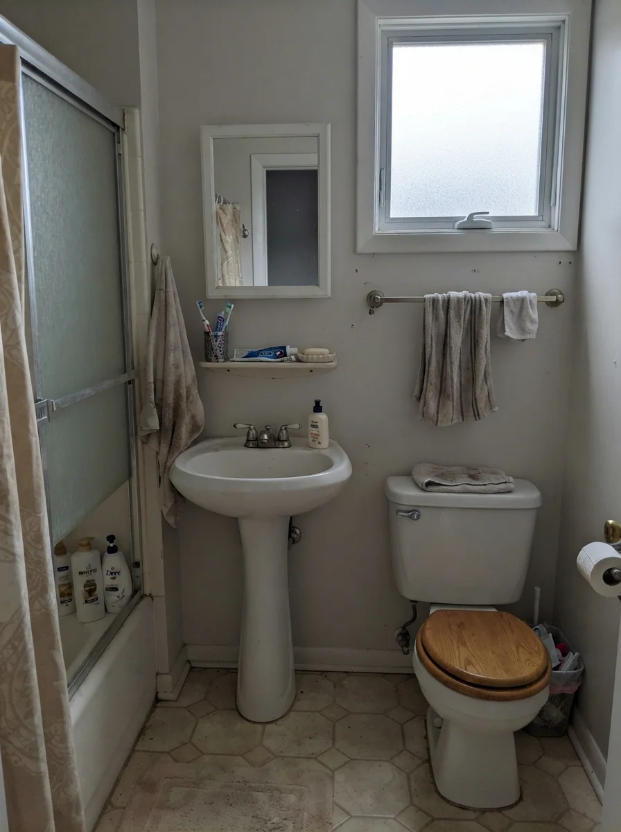 Small bathroom with painted walls reading muted under overcast light with a plain towel bar.