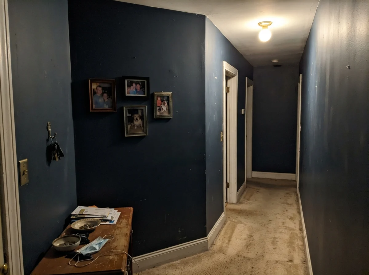 Windowless hallway corner where Naval paint appears flat, muddy, and near-black under a single ceiling bulb
