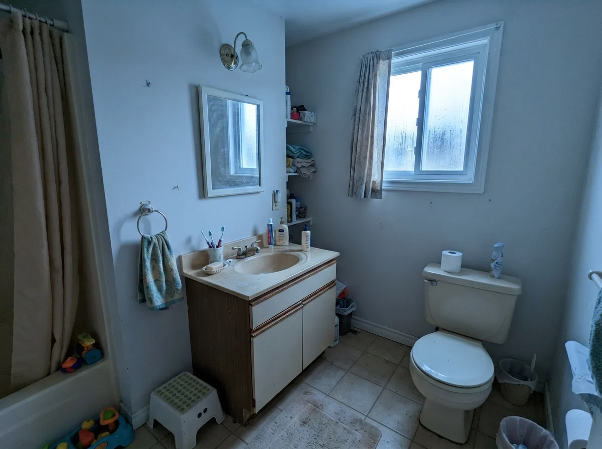 Modest bathroom showing cool cast on Shoji White walls in north light