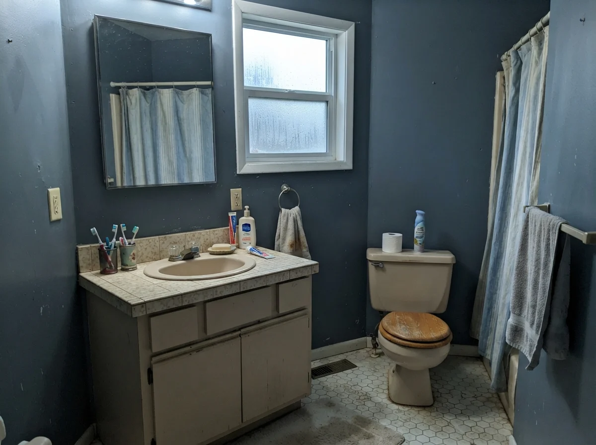 Dated modest bathroom with Waterloo walls picking up cool blue-gray tones in north rain light.